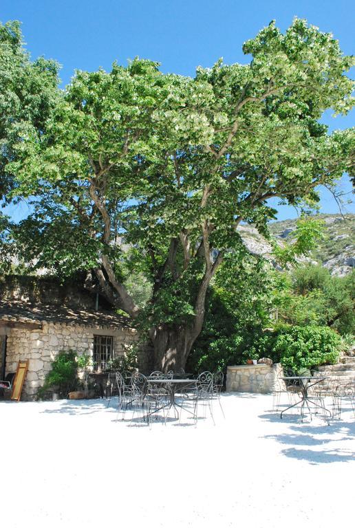 Bastide De La Lezardiere Фонтен-де-Воклюз Экстерьер фото